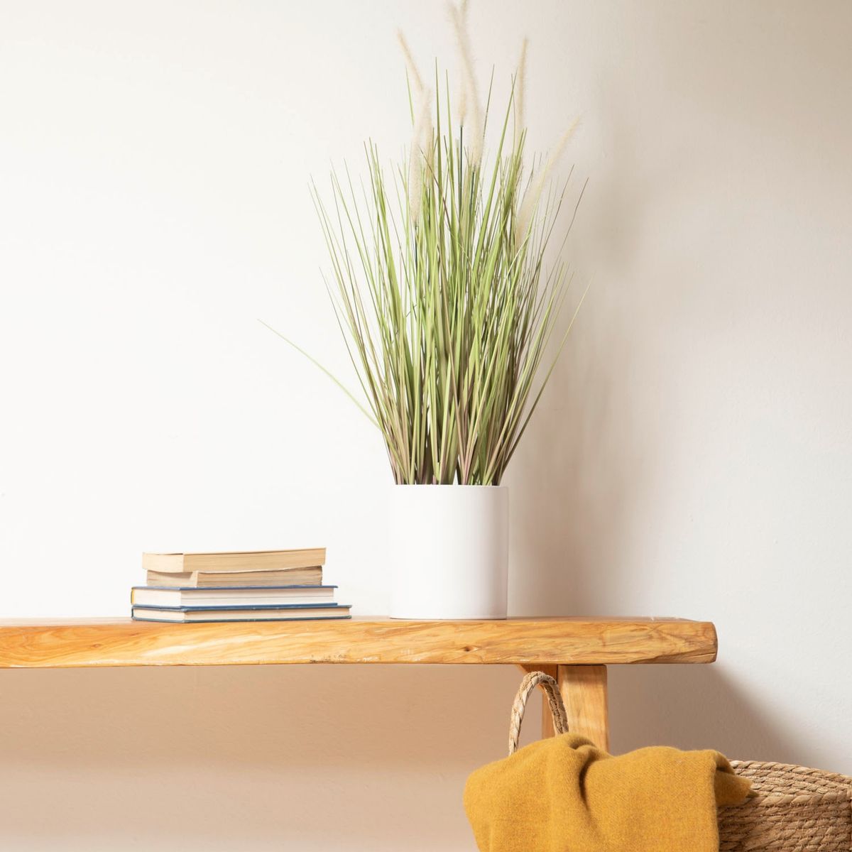 MICA - Planta Cola De Zorro 80x15cm