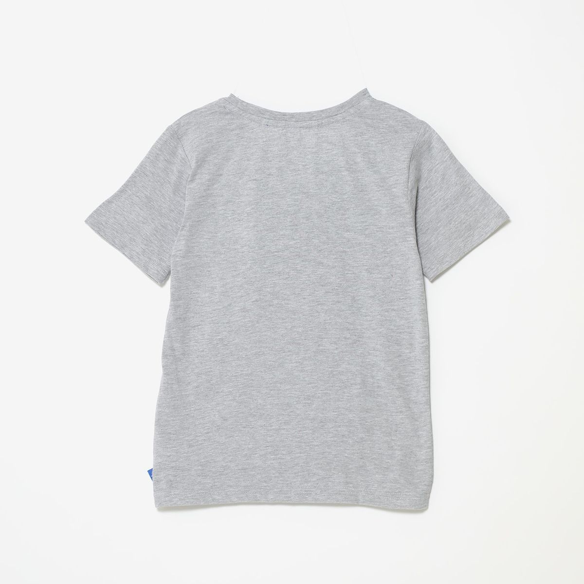 HARRY POTTER - Polo Niño Manga Corta Algodón Harry Potter