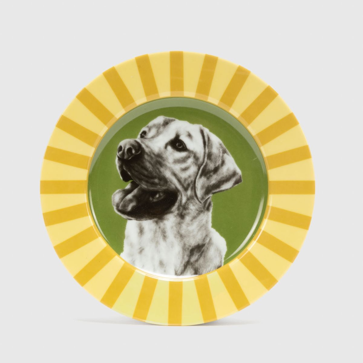 ROBERTA ALLEN - Plato Labrador Market Blossom 20 cm