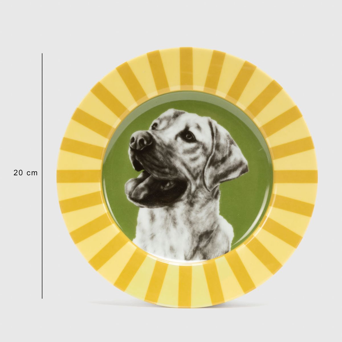 ROBERTA ALLEN - Plato Labrador Market Blossom 20 cm