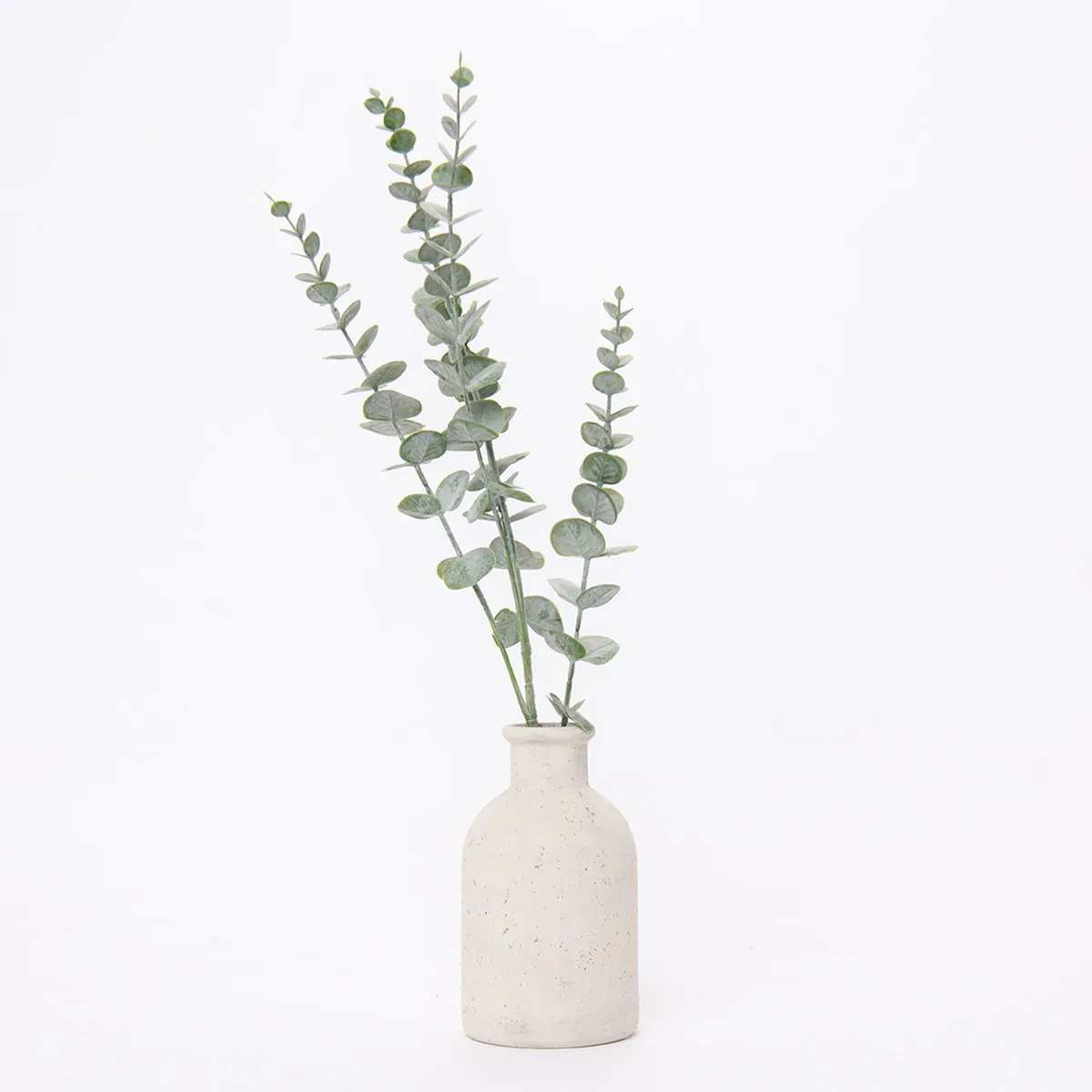 MICA - Planta Eucalipto en Maceta 42cm