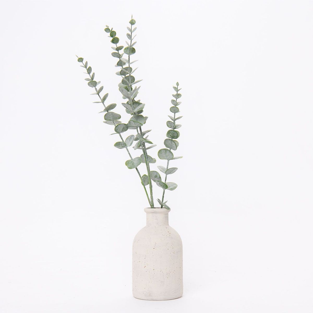 MICA - Planta Eucalipto en Maceta 42cm