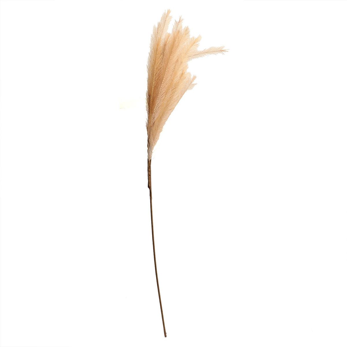 MICA - Rama Plumas 120cm