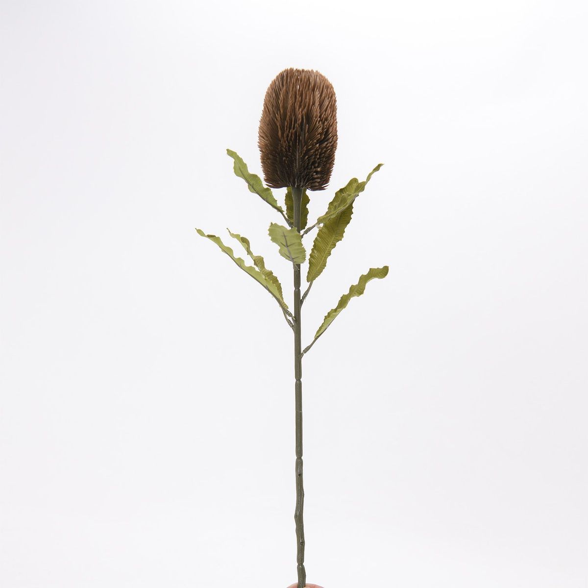 MICA - Vara Banksia Red 65cm