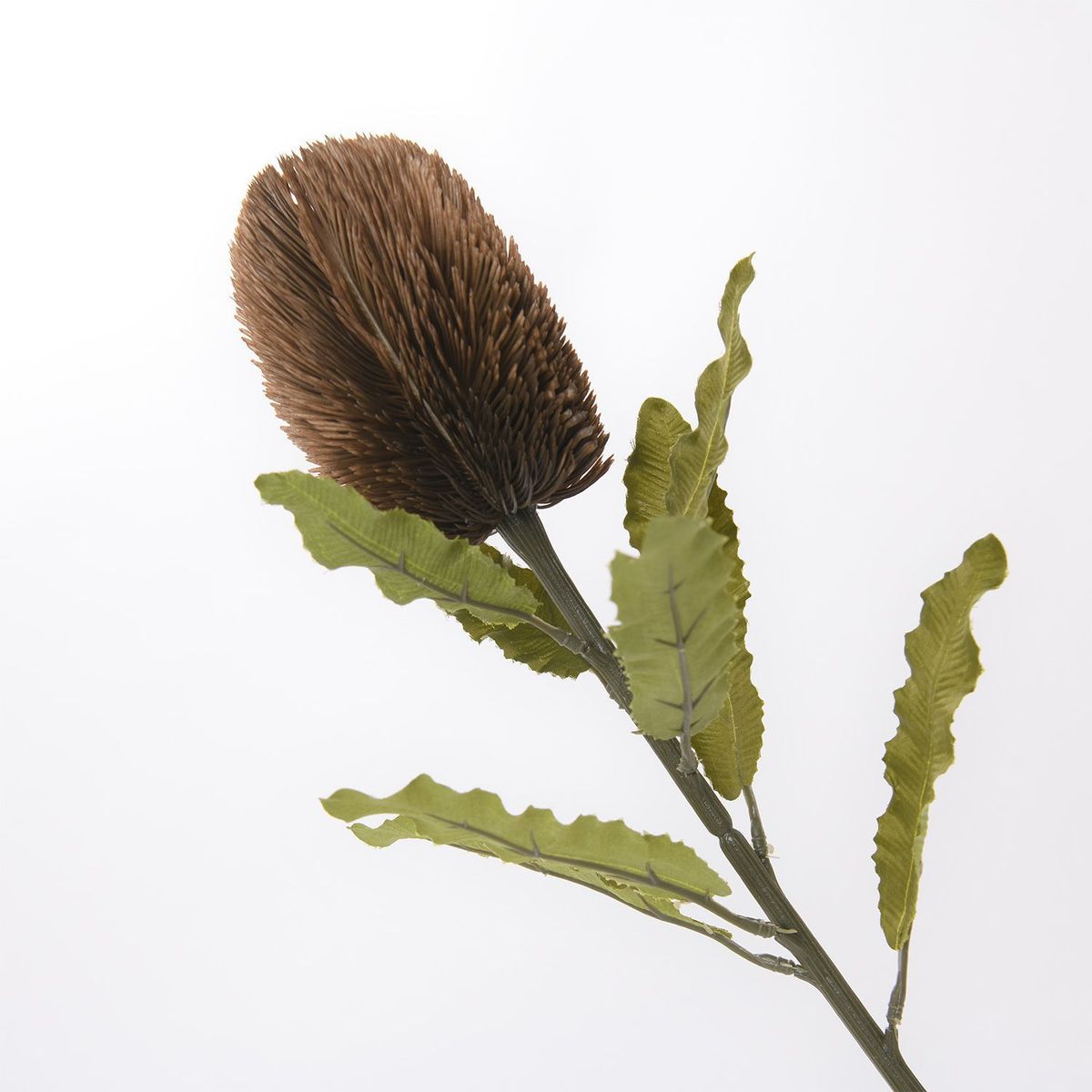 MICA - Vara Banksia Red 65cm