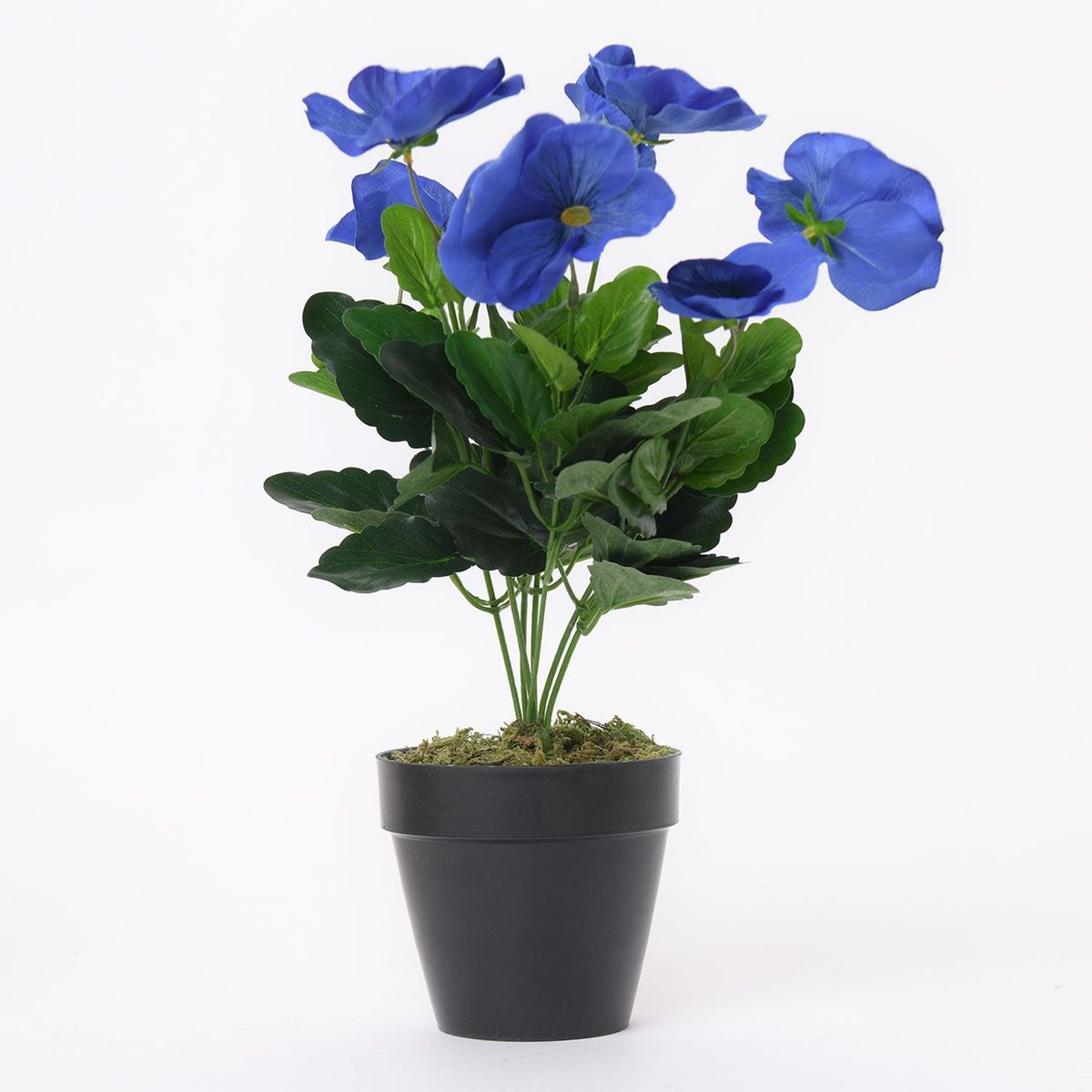 MICA - Maceta Planta Pensamiento 38cm 