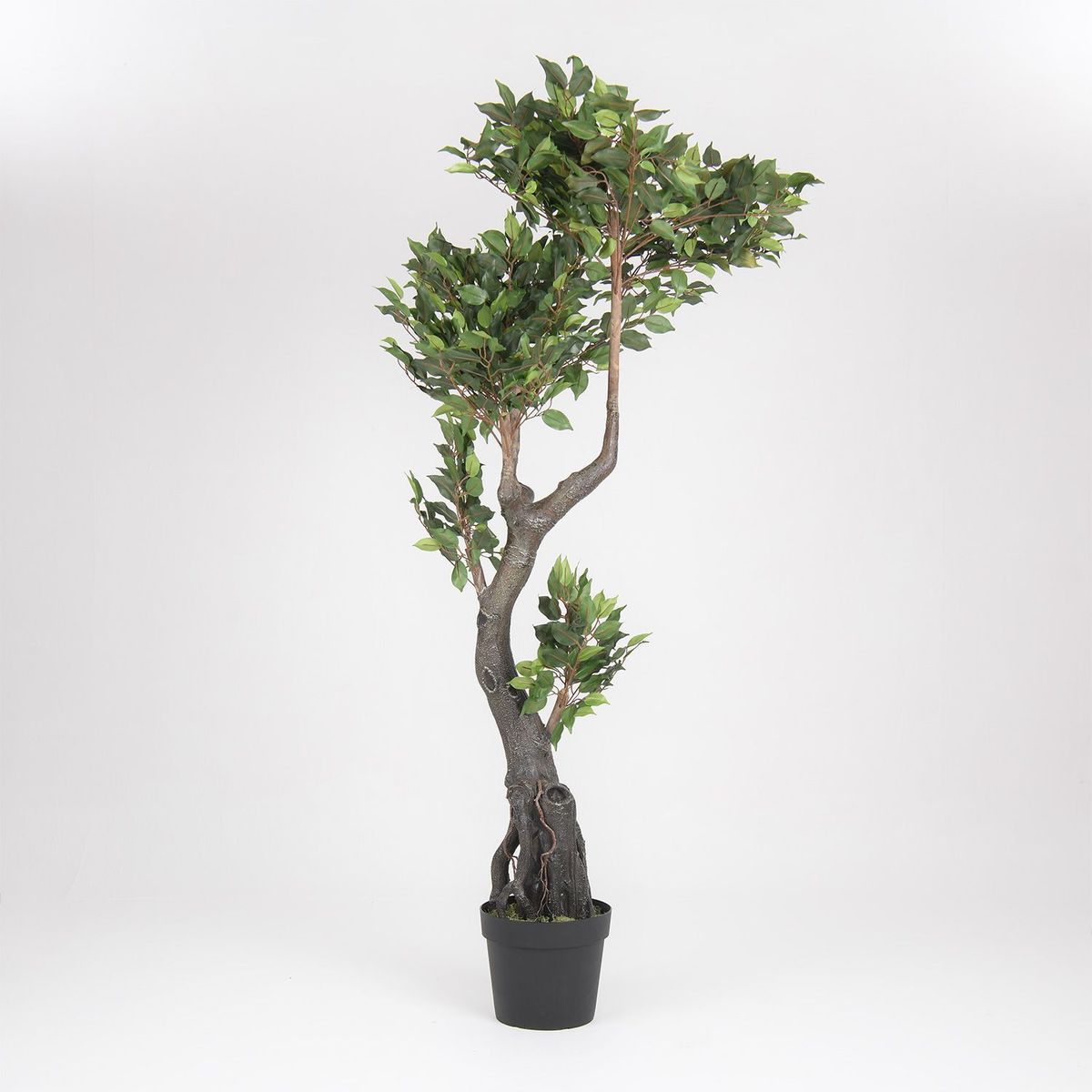 MICA - Planta Artificial Ficus Tree 190cm
