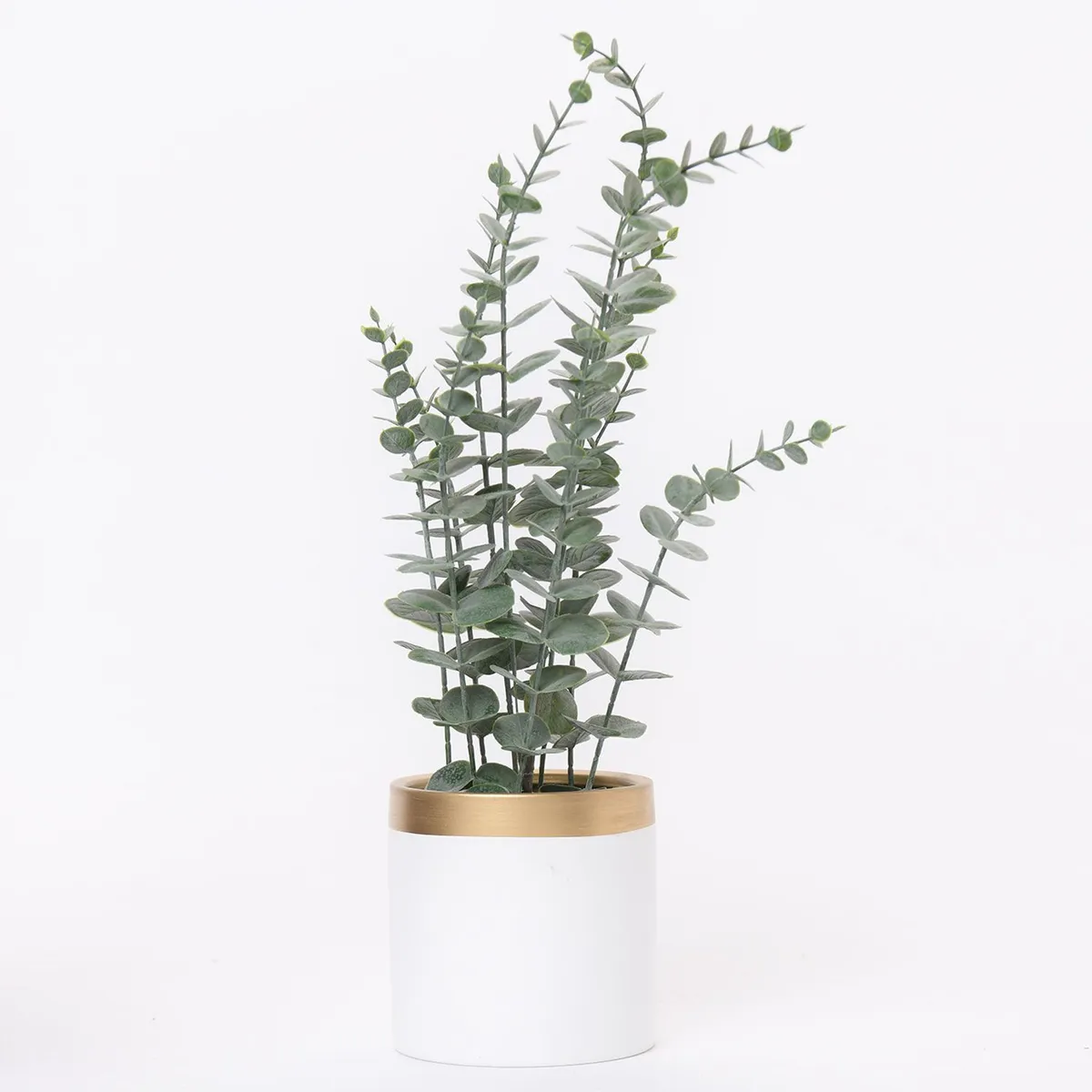 MICA - Eucalipto 55cm