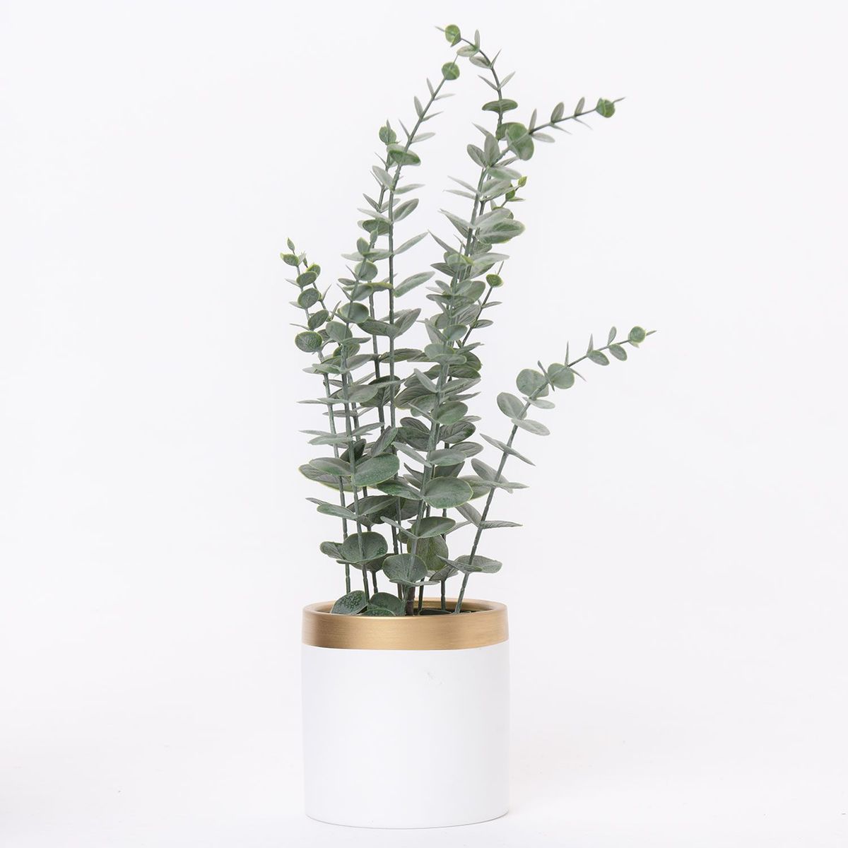 MICA - Eucalipto 55cm