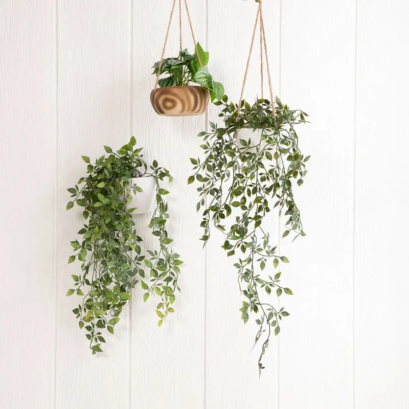 MICA - Planta Colgante Helecho 10x10x7CM