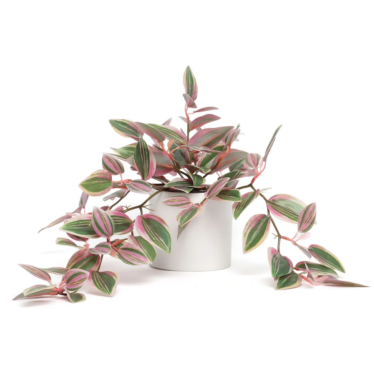 MICA - Planta Colgante Cebrina 11x10x25cm