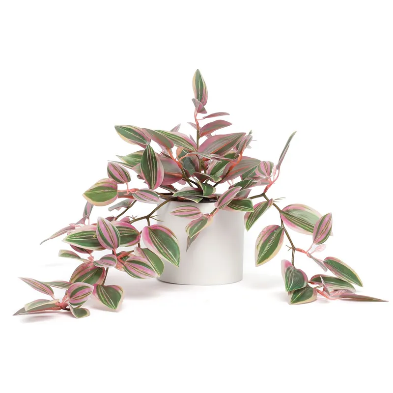 MICA - Planta Colgante Cebrina 11x10x25cm