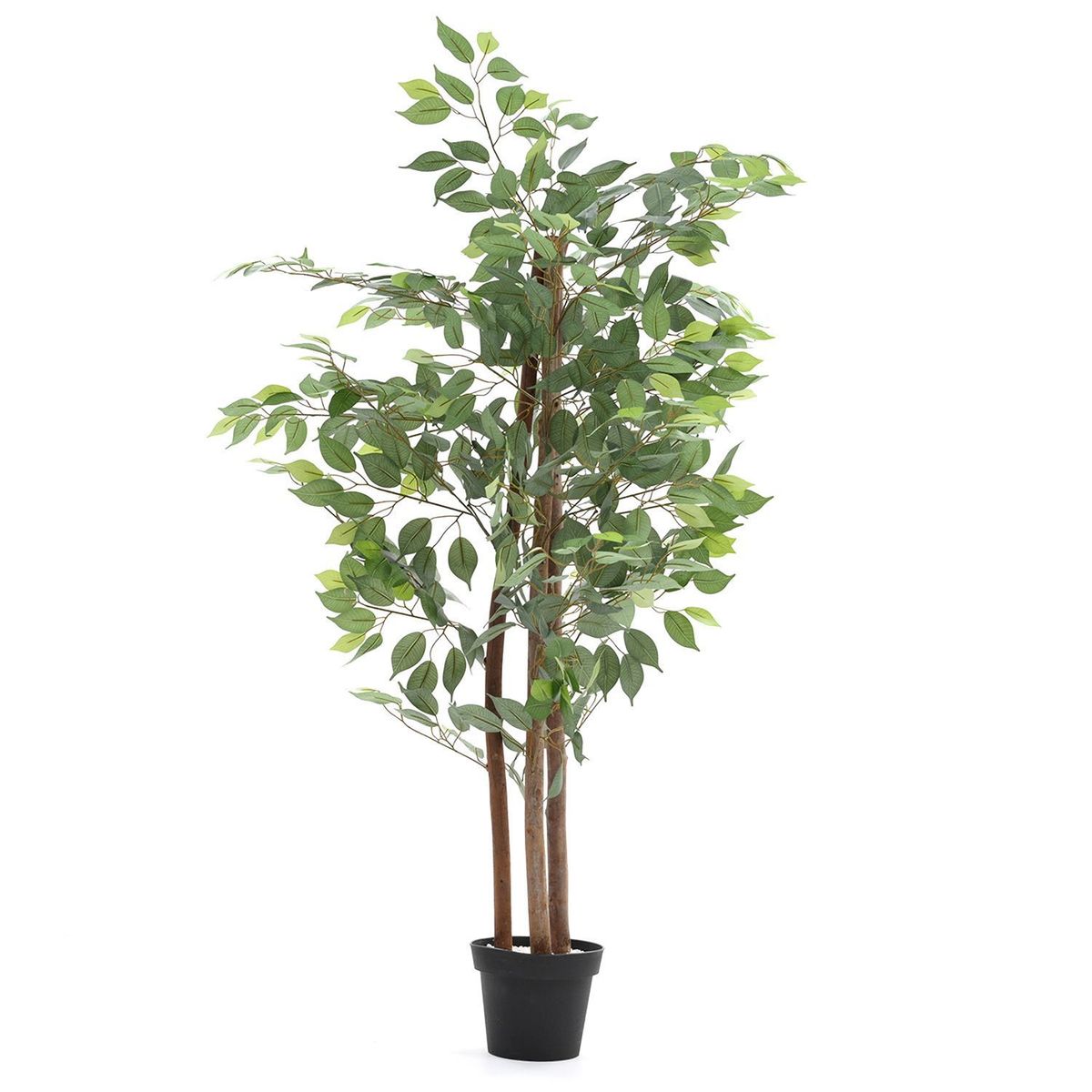 MICA - Planta Artificial Ficus 154cm 