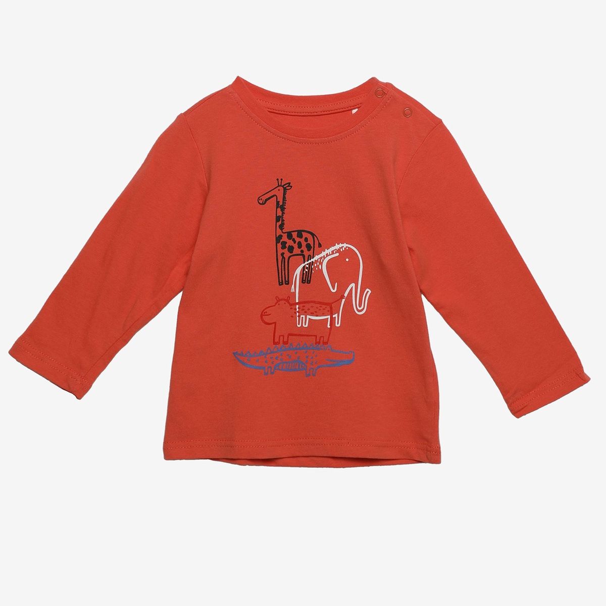 YAMP - Polo Bebé Niño Manga Larga Algodón Yamp