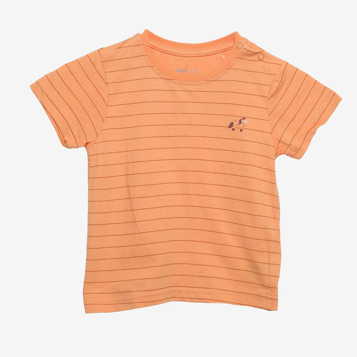 YAMP - Polo Bebé Niño Manga Corta Algodón Yamp