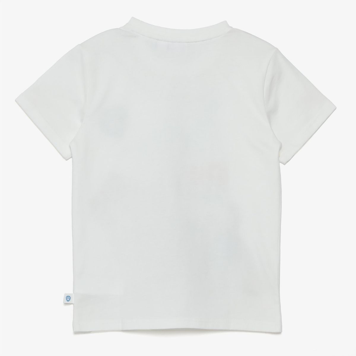 PAW PATROL - Polo Niño Manga Corta Algodón Paw Patrol