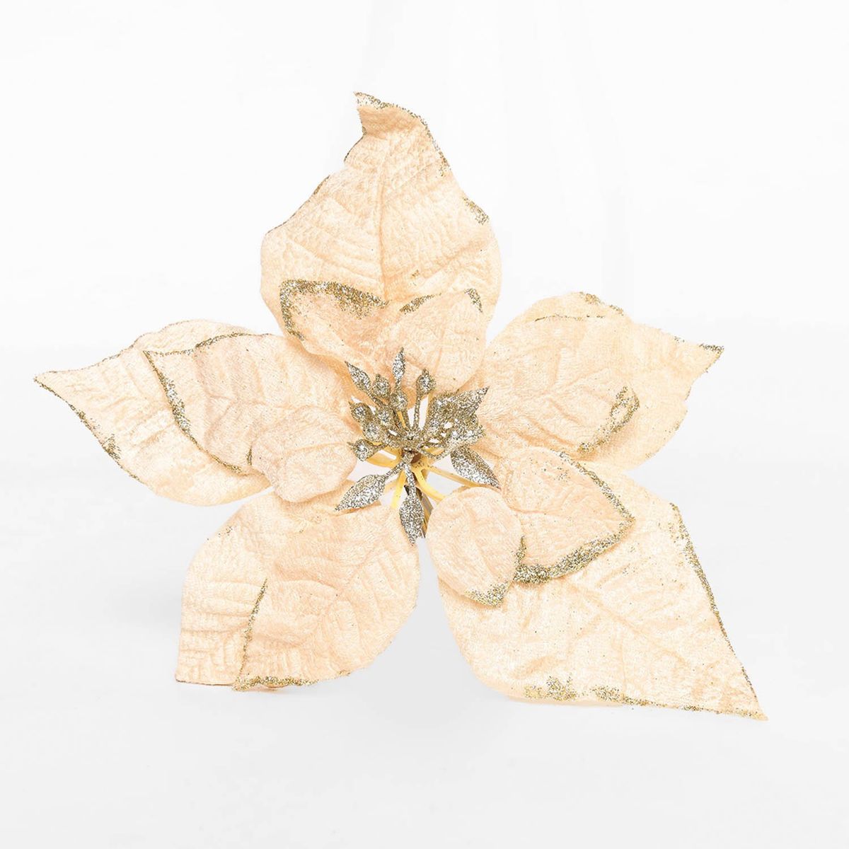 MICA - Poinsettia Champagne 23Cm