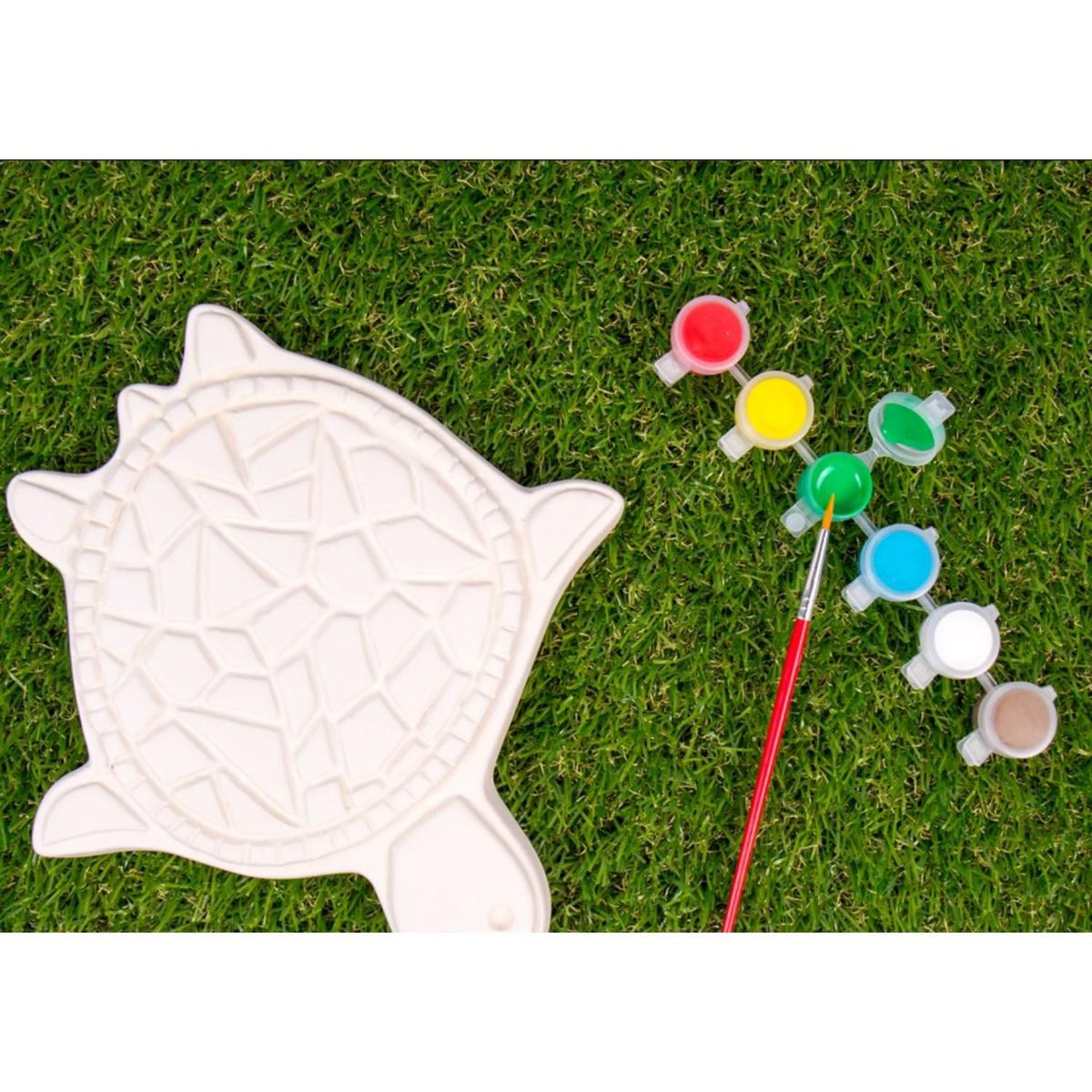 GENERICO - Kit De Pintura Tortura Creative Roots