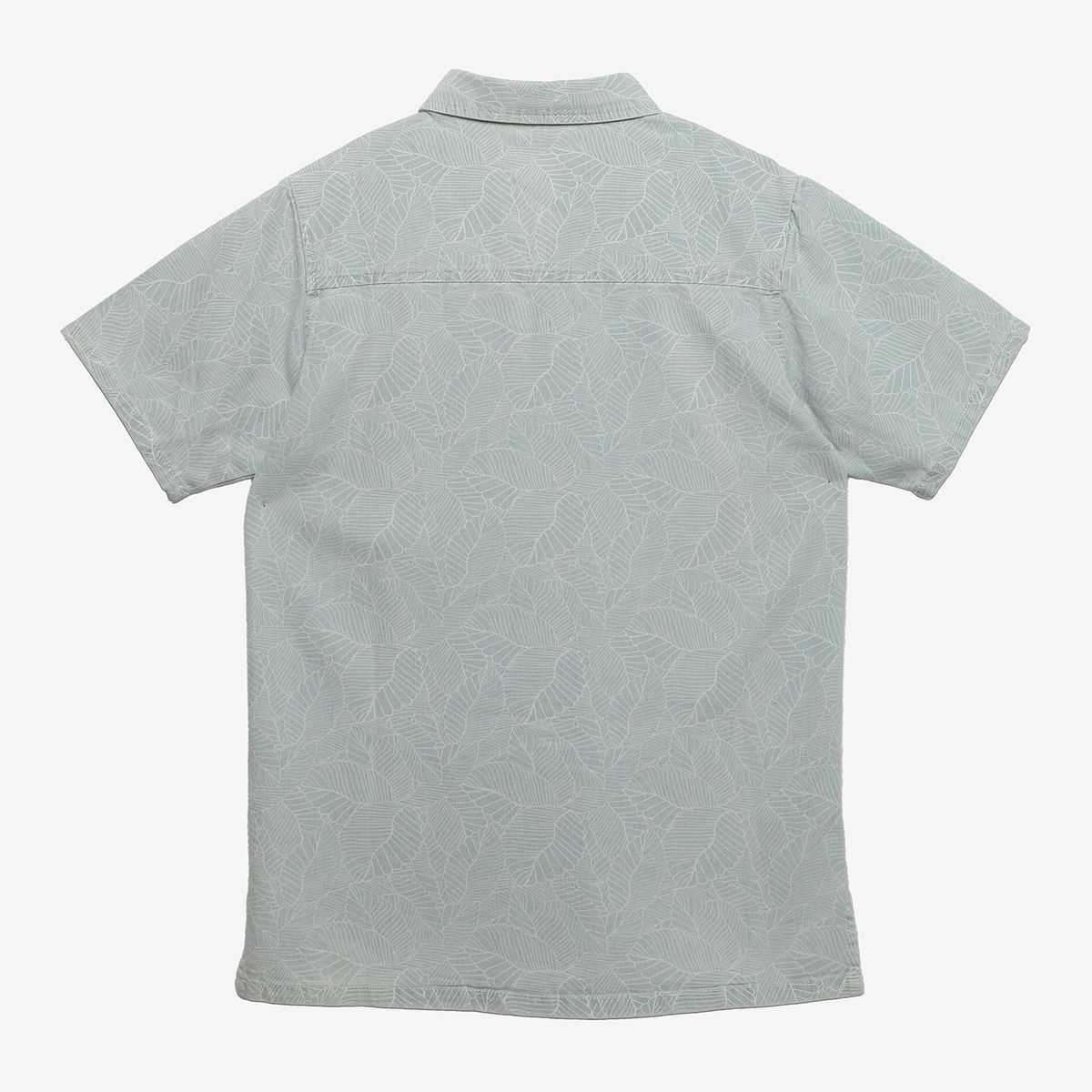 FEDERATION - Camisa Niño Manga Corta Algodón Federation