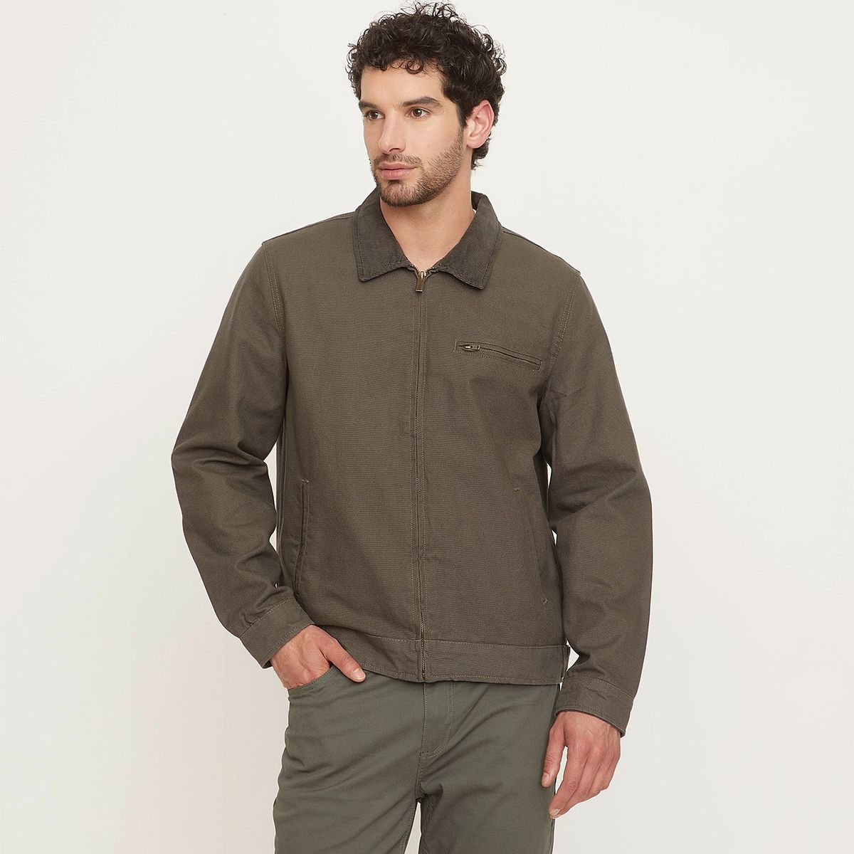 NEWPORT - Casaca Gabardina Newport Cierre Metálico Algodón Hombre