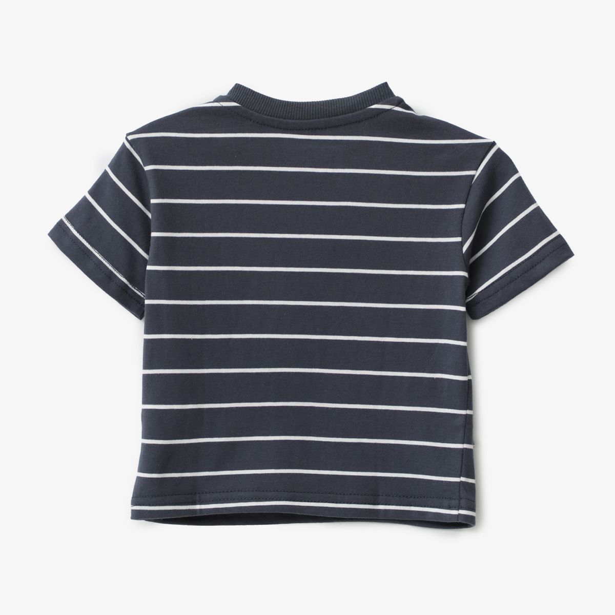 YAMP - Polo Bebé Niño Yamp