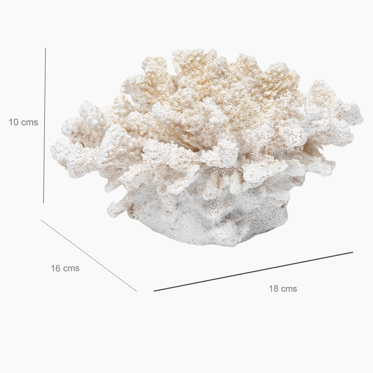 BASEMENT HOME - Coral Blanco 19x16x10cm