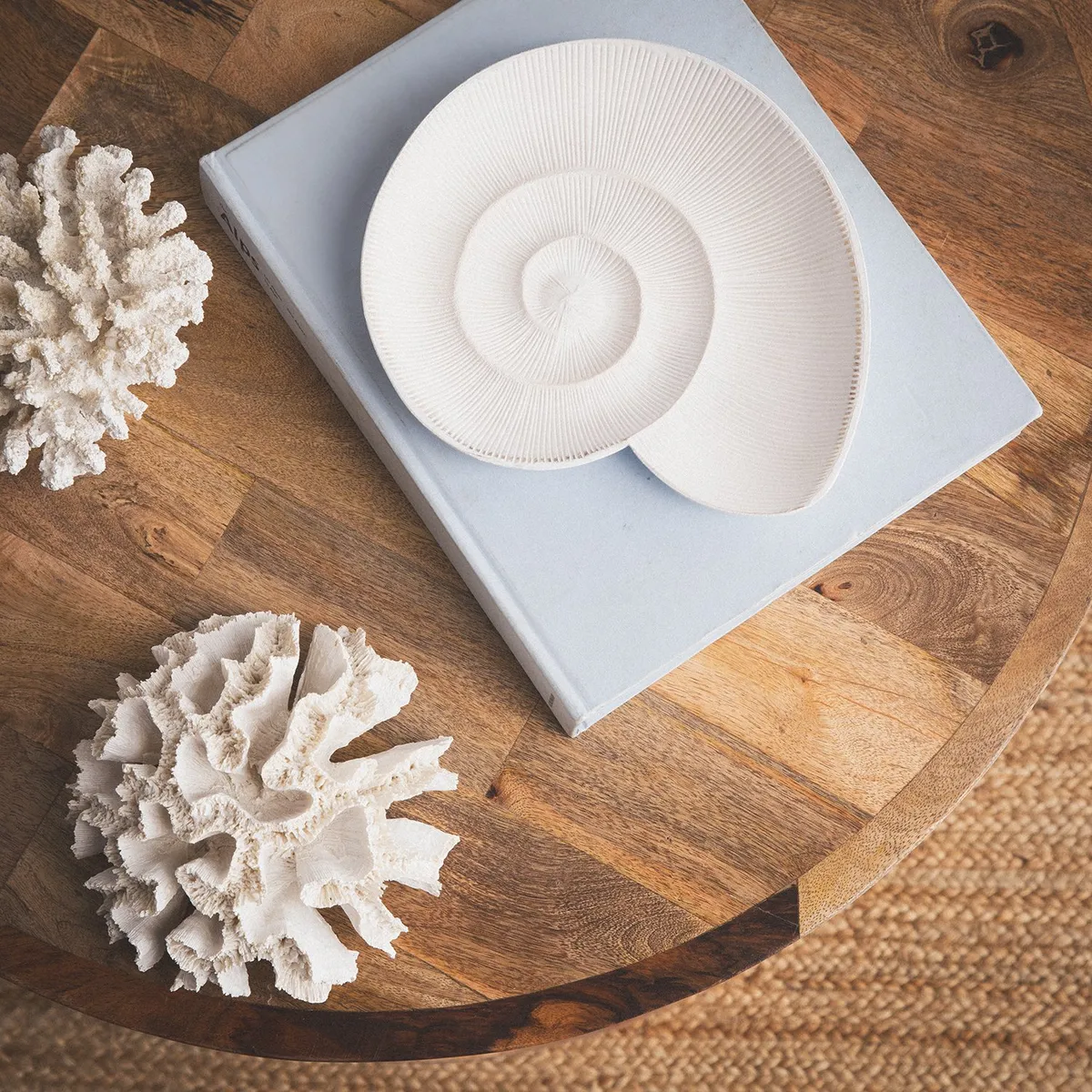 BASEMENT HOME - Caracol Madera Blanca 25cm