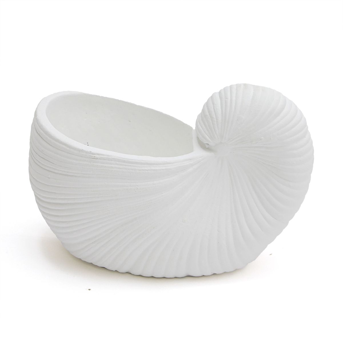 BASEMENT HOME - Adorno Concha Blanca 26x13x19cm