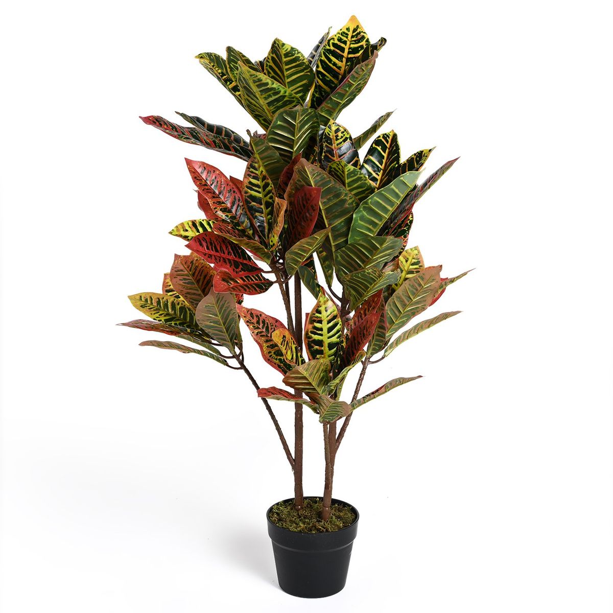 MICA - Planta Grande Croton 90cm