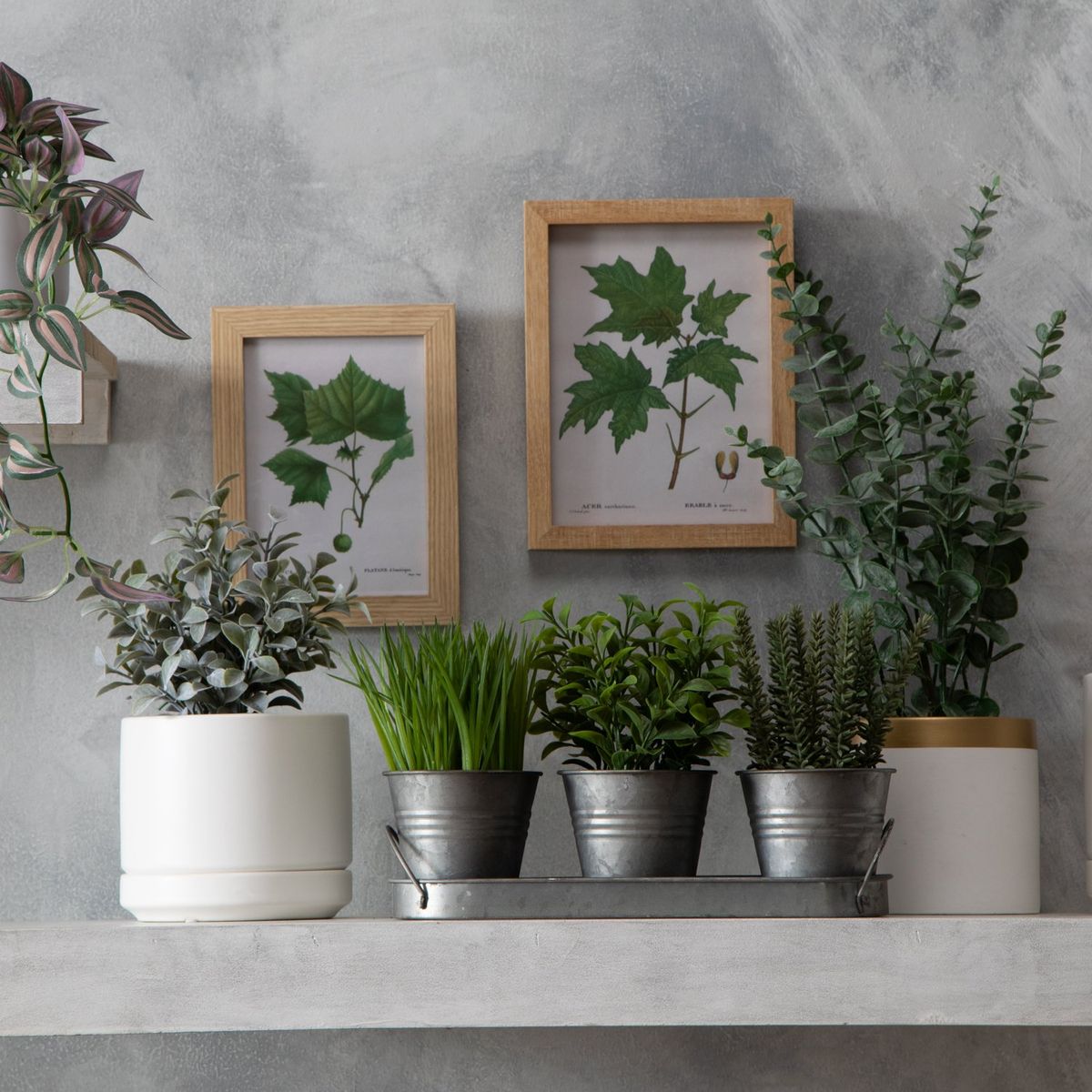 MICA - Set X 3 Plantas En Maceta Bandeja 36x19cm