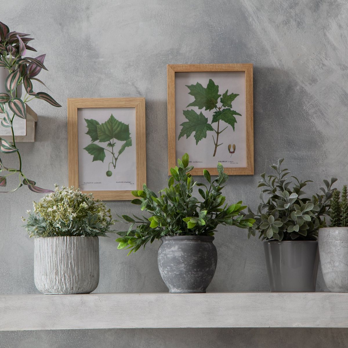 MICA - Planta Con Maceta Gris 15x26cm