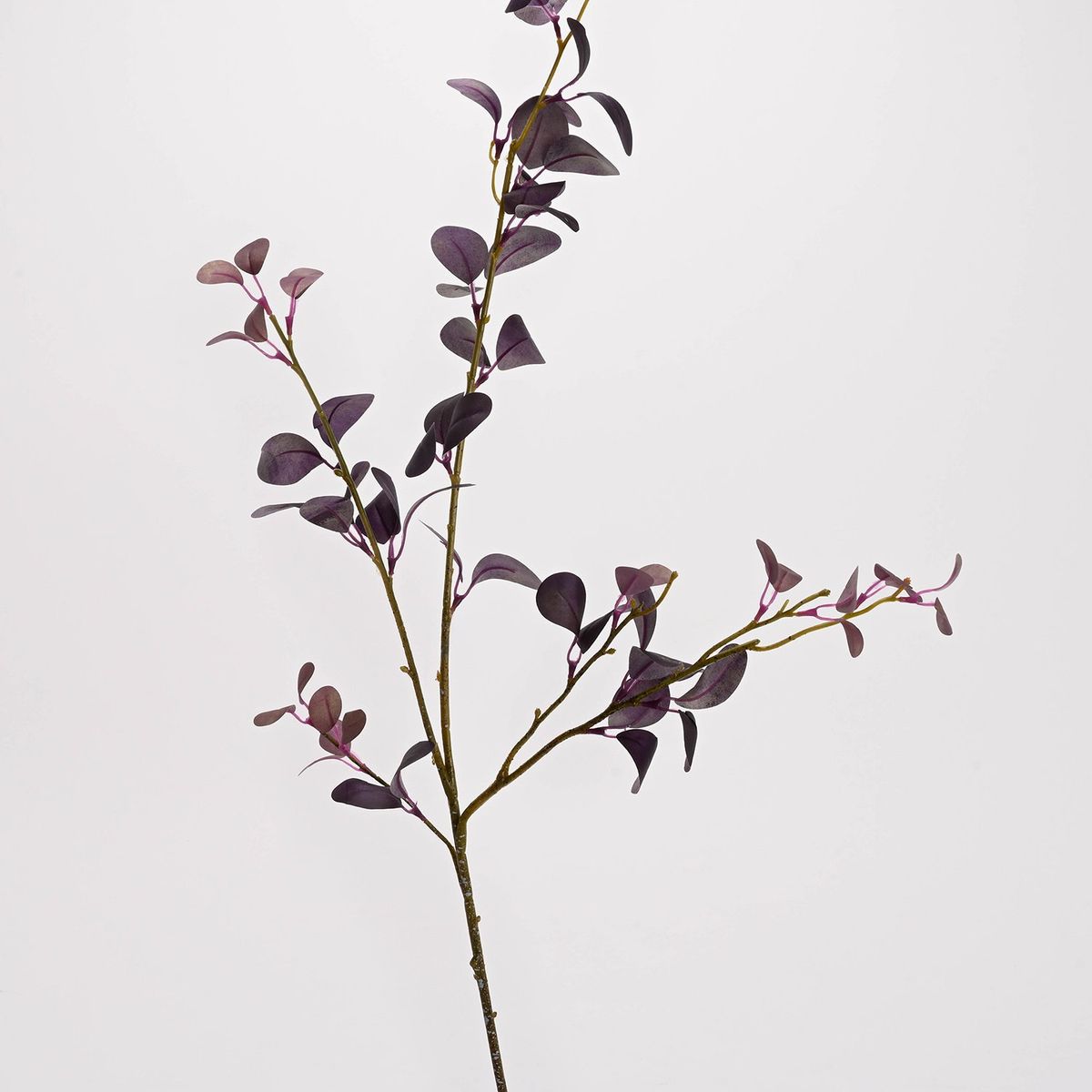 MICA - Rama Decorativa De Eucalipto Morado 96cm
