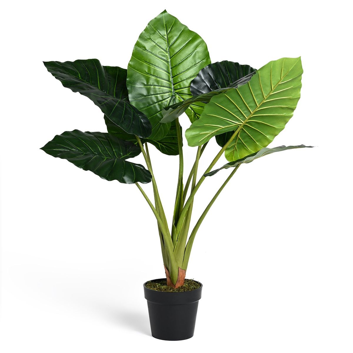 MICA - Planta Grande Alocasia 100cm