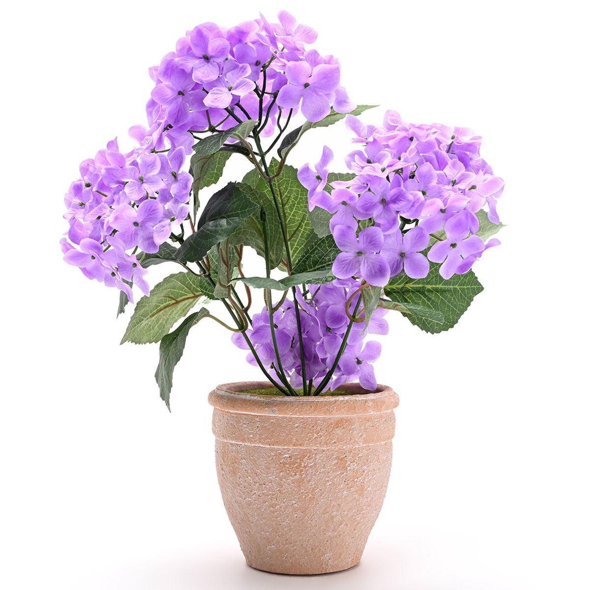 MICA - Planta Morada Con Maceta 28x38cm