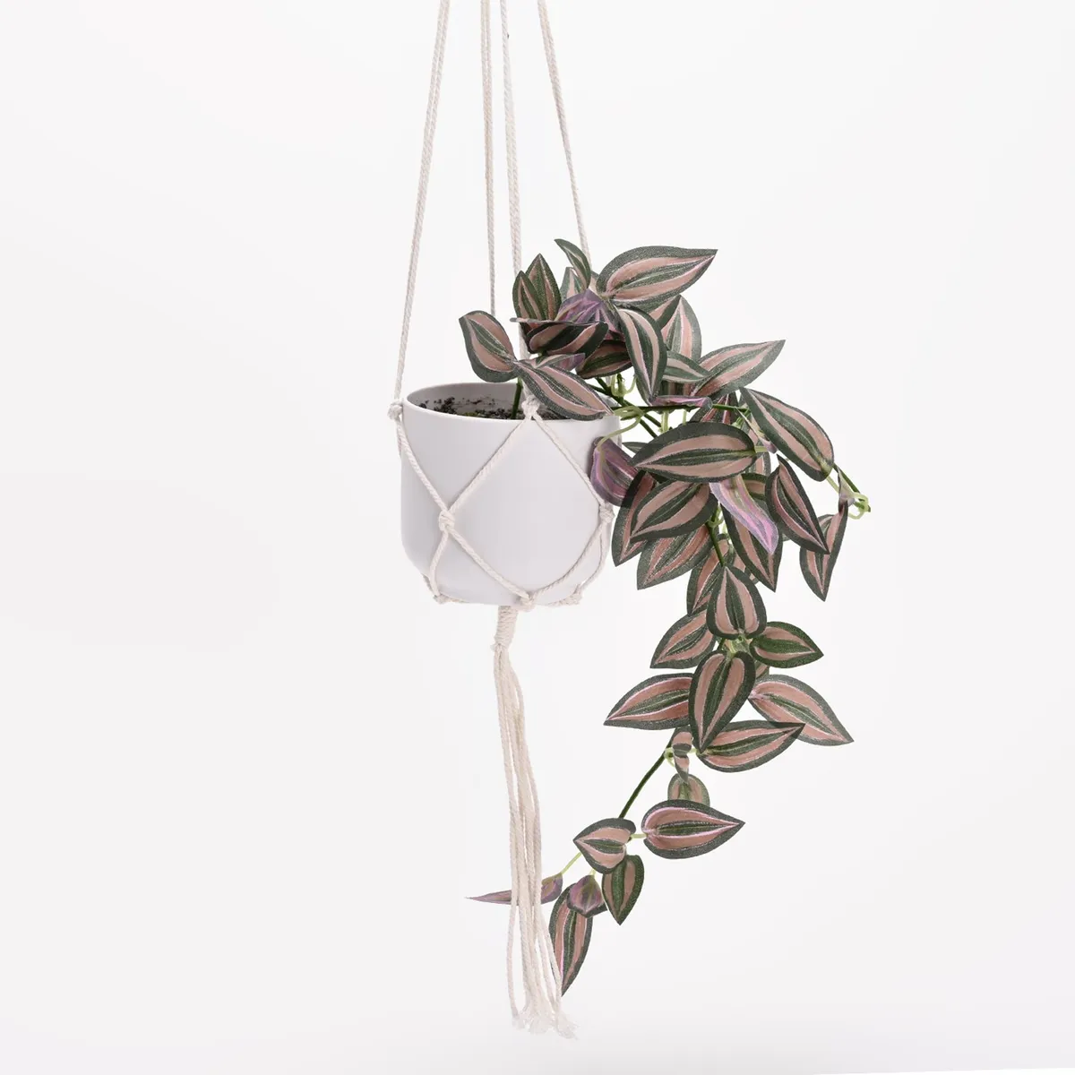 MICA - Planta Colgante Cebrina 61cm