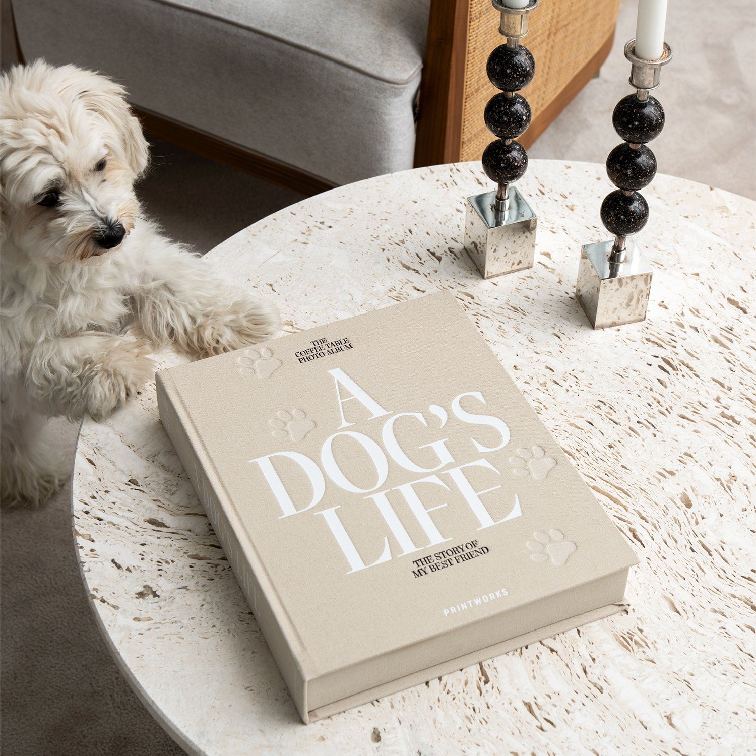 A Dog'S Life Coffee Table Book: Stunning Photos & Heartwarming Stories