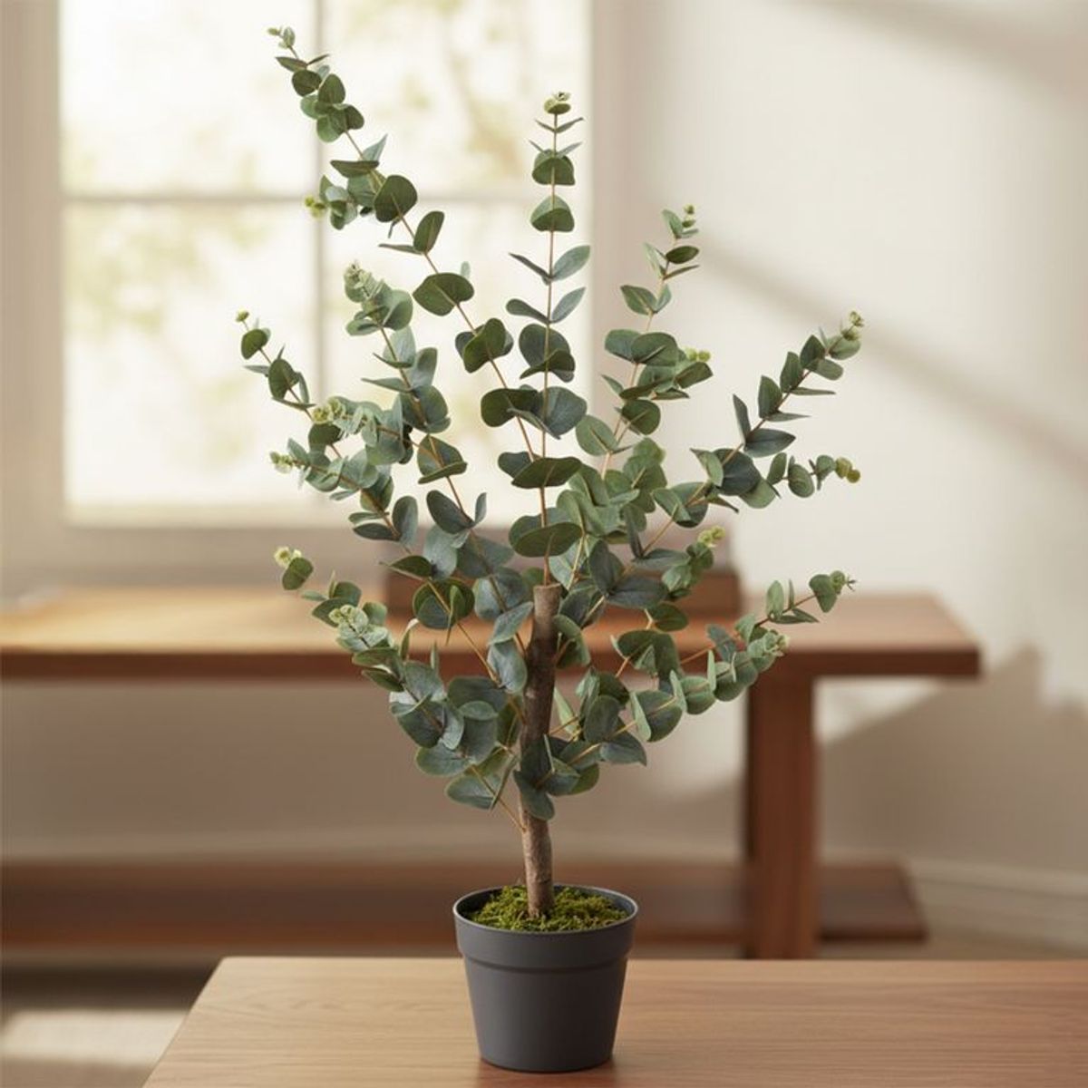 MICA - Planta Grande Eucalipto 95cm