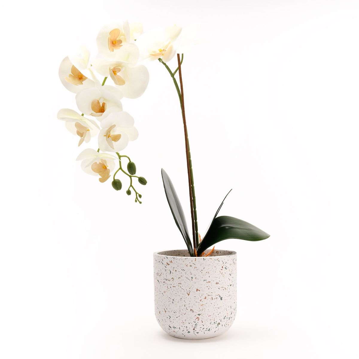 MICA - Orquídea Blanca 60cm