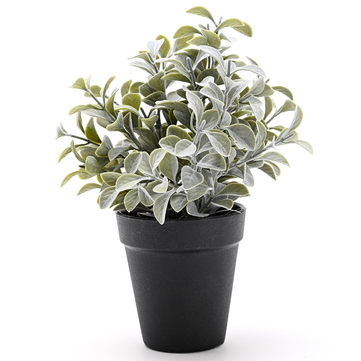 MICA - Planta Con Maceta Negra 17x25cm