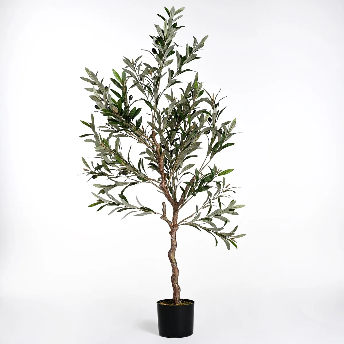 MICA - Planta Olivo 30x132cm