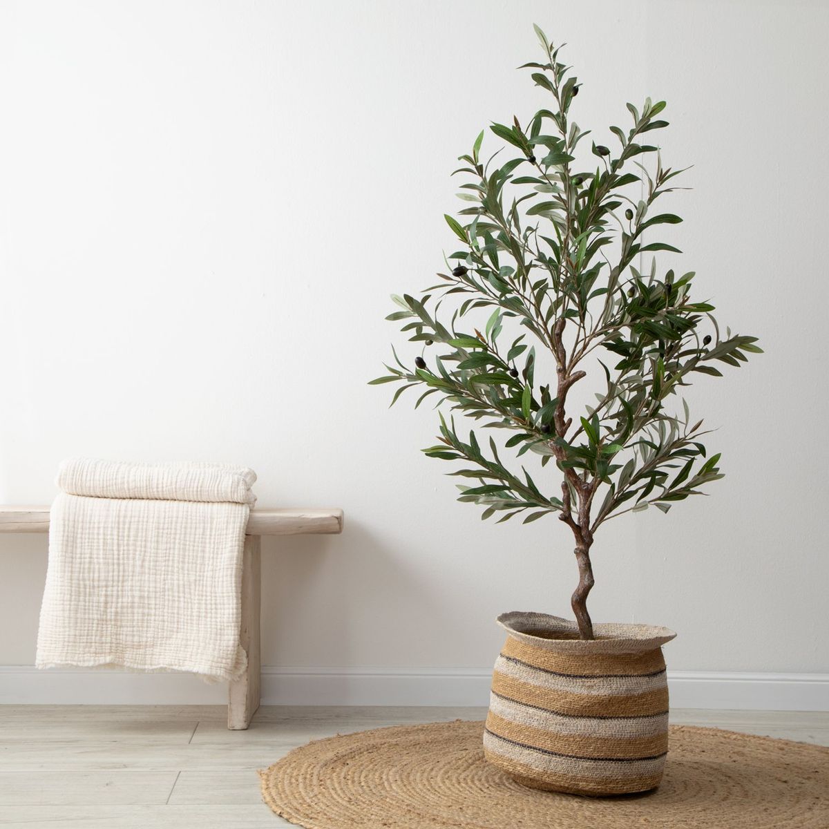 MICA - Planta Olivo 30x132cm