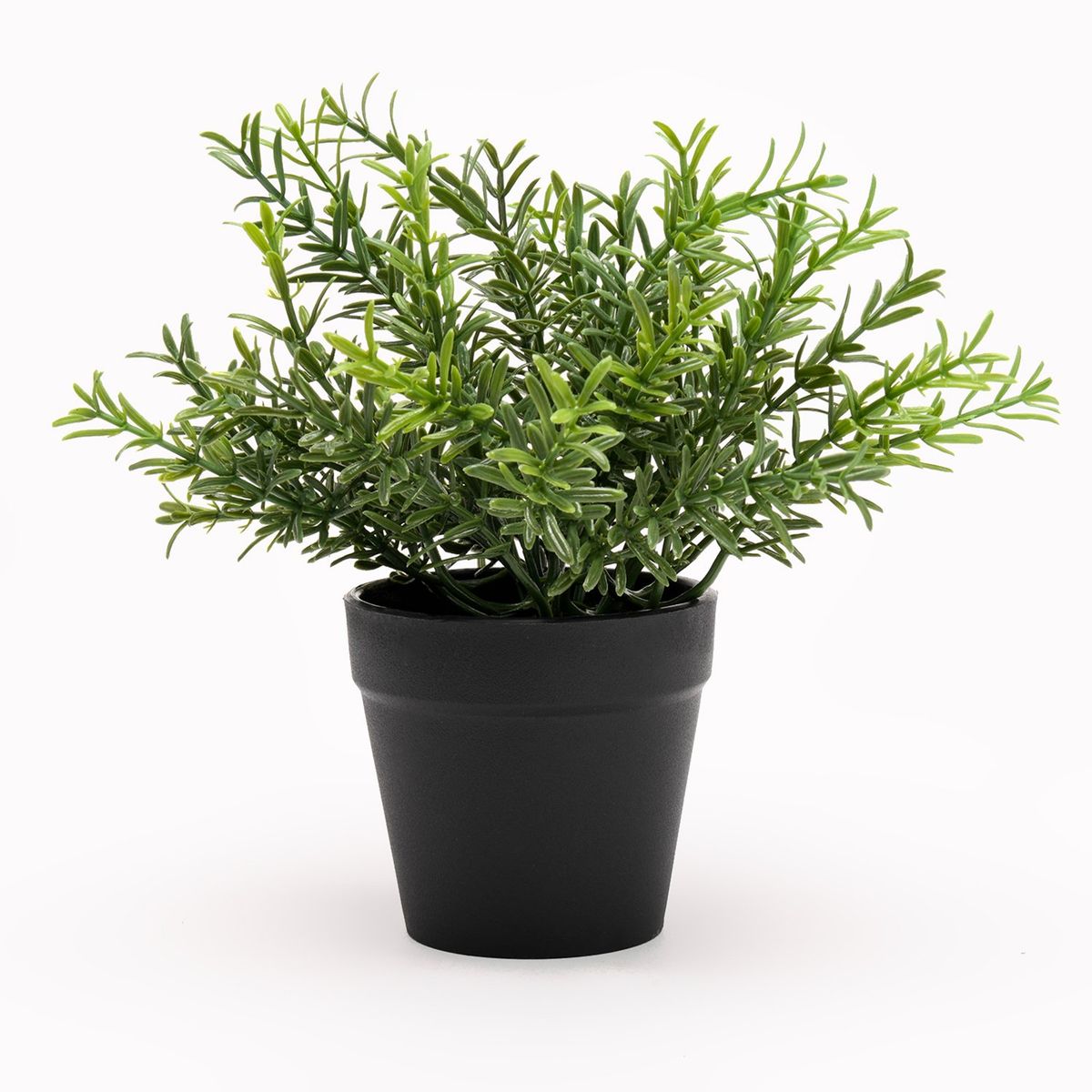 MICA - Planta Con Maceta Negra 16x25cm