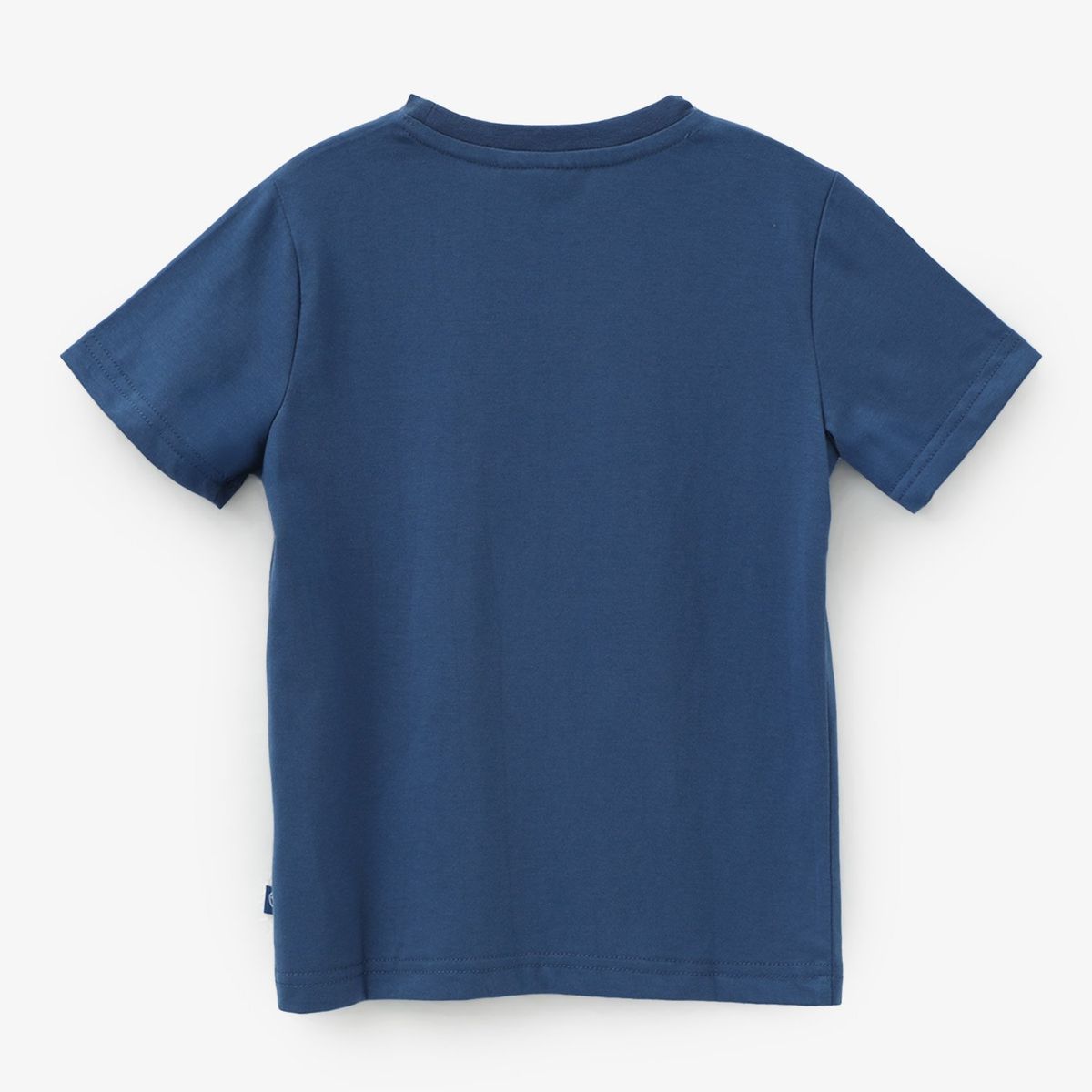 PAW PATROL - Polo Niño Algodón Paw Patrol