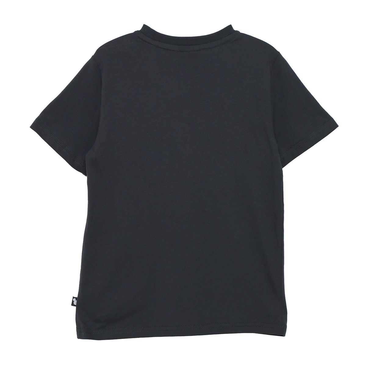 DISNEY - Polo Niño Algodón Std Characters