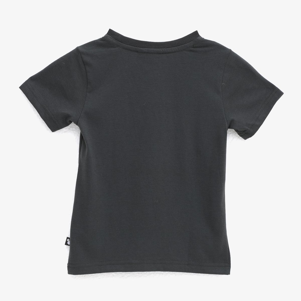 DISNEY - Polo Niño Algodón Std Characters