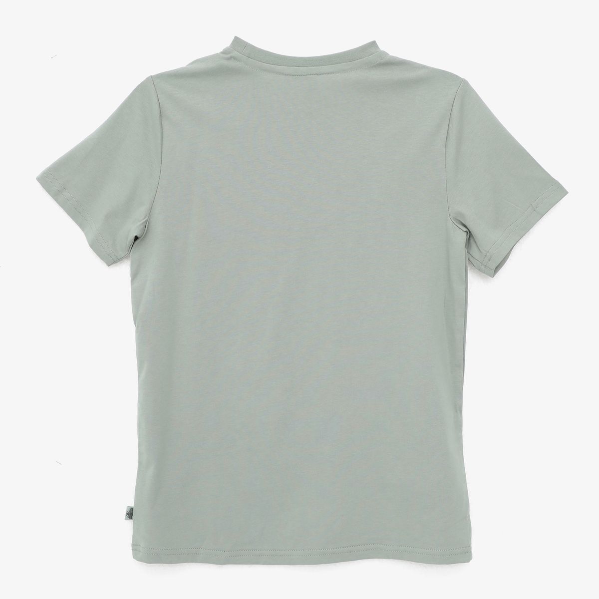 JURASSIC WORLD - Polo Niño Algodón Jurassic World