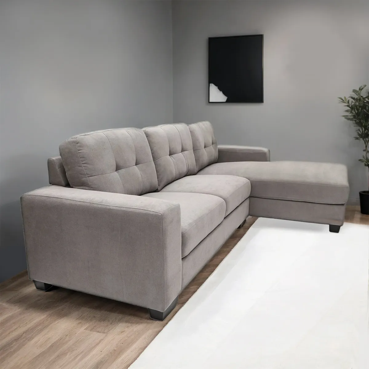 MICA - Seccional Andrew 4 Cuerpos Derecho