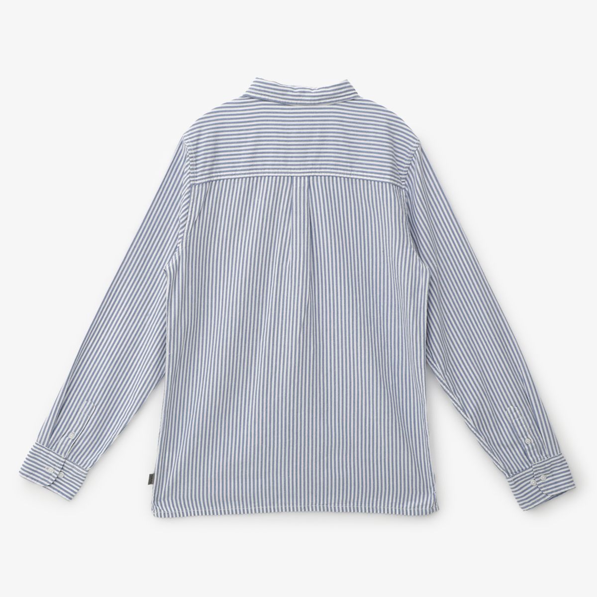 FEDERATION - Camisa Niño Algodón Federation