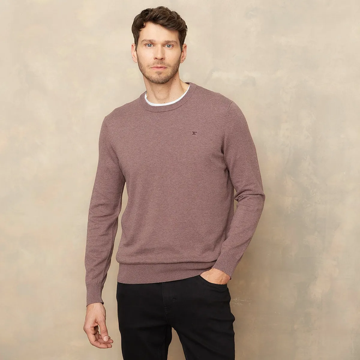 WOLF&HANK - Chompa Manga Larga 100% Algodón Hombre Wolf&hank 