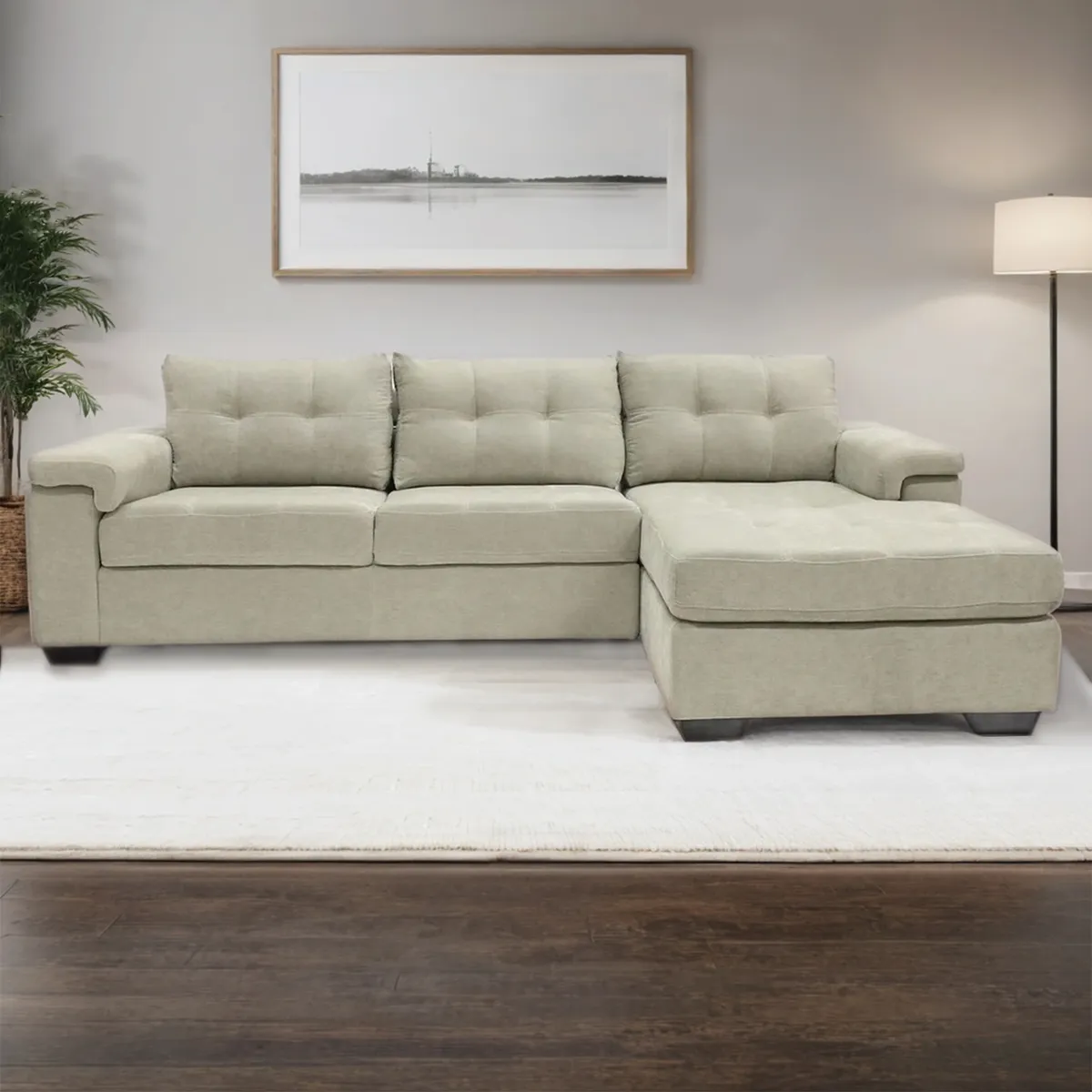 MICA -  Seccional Rafa 4 Cuerpos Derecho